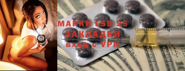 PSILOCYBIN Алзамай