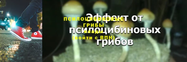PSILOCYBIN Алзамай